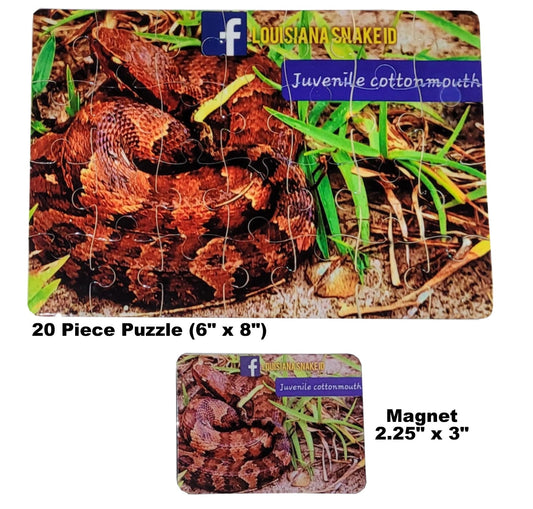 Juvenile Cottonmouth Puzzles and Magnets
